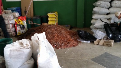 Petit négociant en cacao - Uruçuca, BA , Brésil